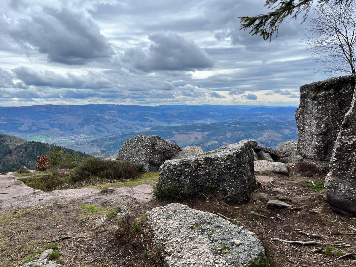 Maison Independante De Montagne En Alsace Bellefosse Exteriér fotografie