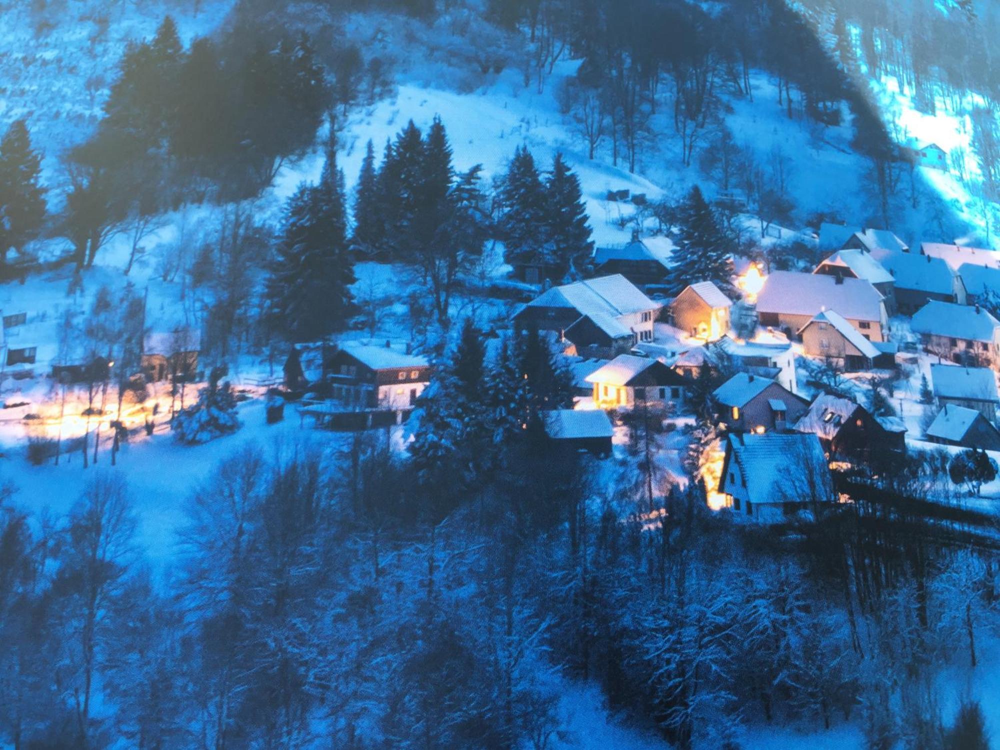 Maison Independante De Montagne En Alsace Bellefosse Exteriér fotografie