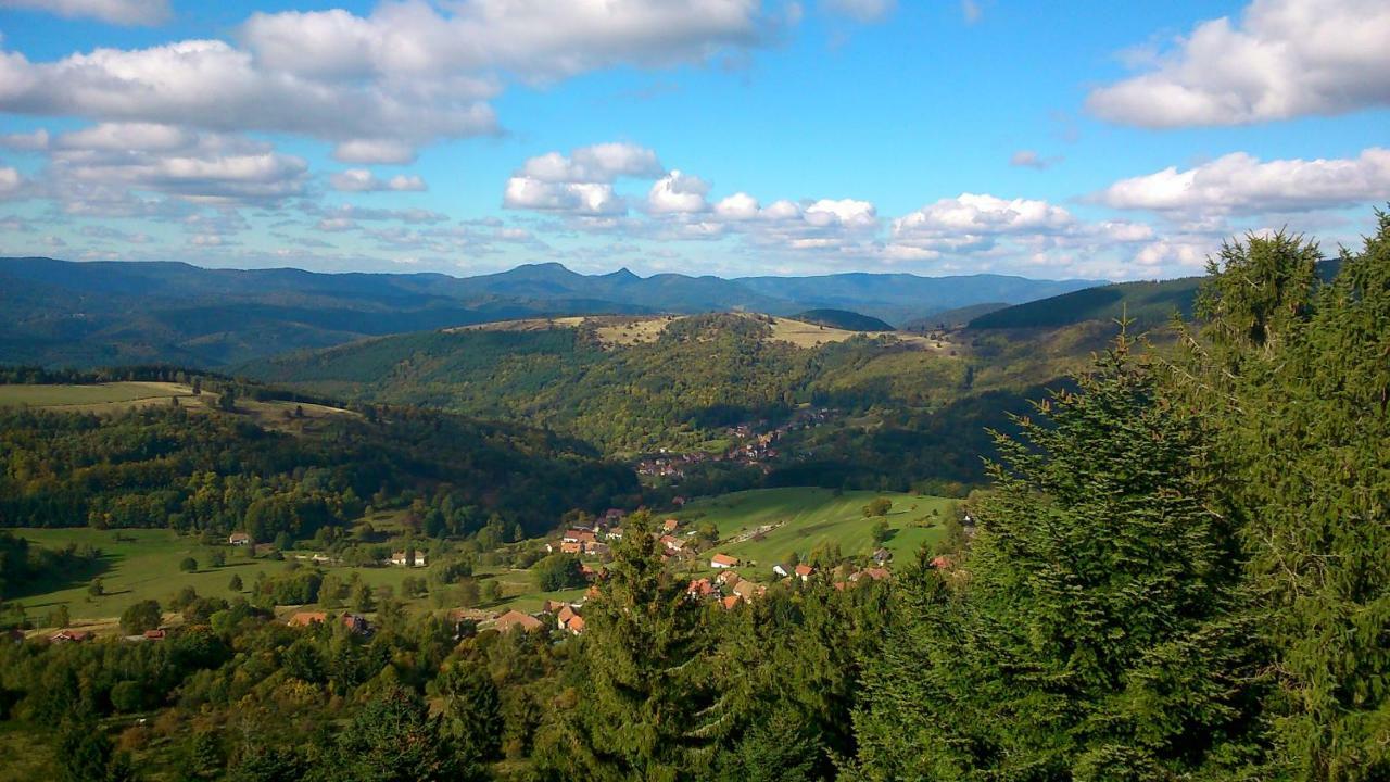 Maison Independante De Montagne En Alsace Bellefosse Exteriér fotografie