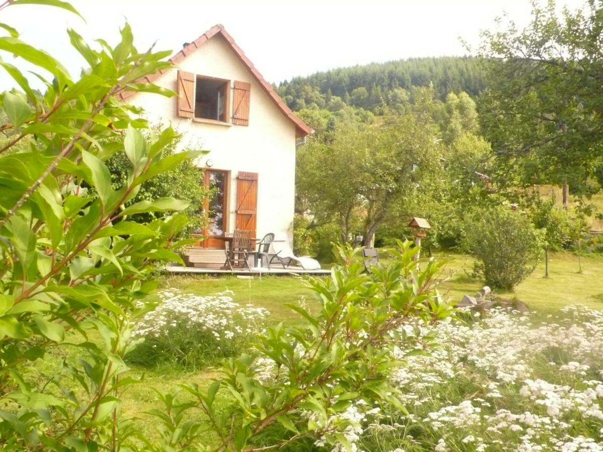 Maison Independante De Montagne En Alsace Bellefosse Exteriér fotografie